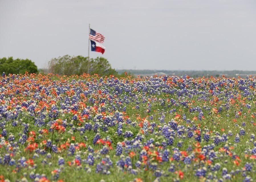 #30. Texas